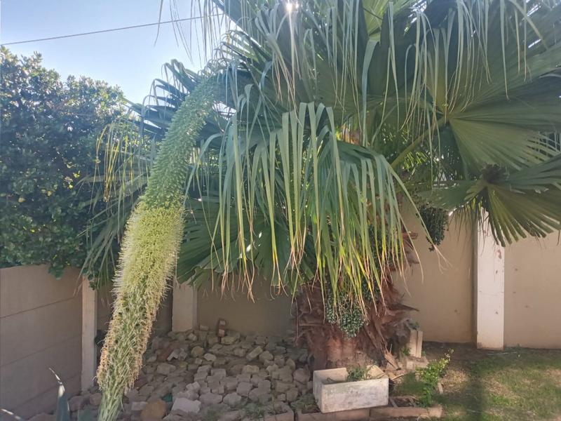 4 Bedroom Property for Sale in C Place Eastern Cape